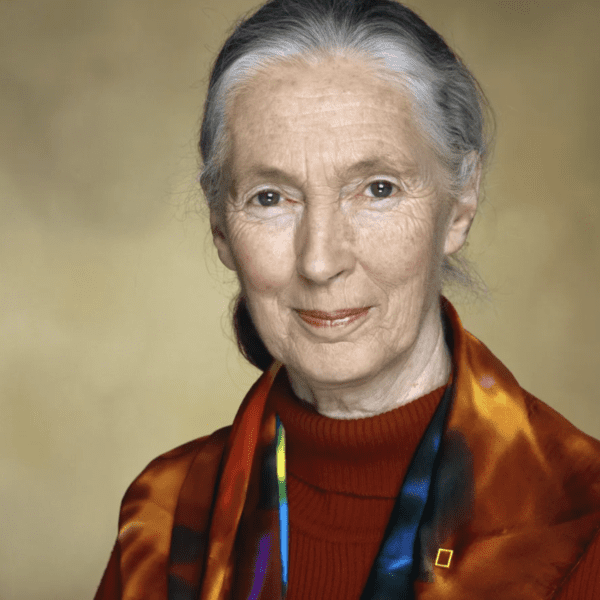 En memoria de Jane Goodall